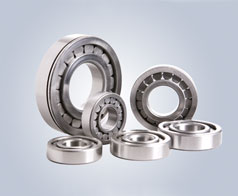 圓柱滾子(zǐ)軸承-鷹牌軸承(cheng)